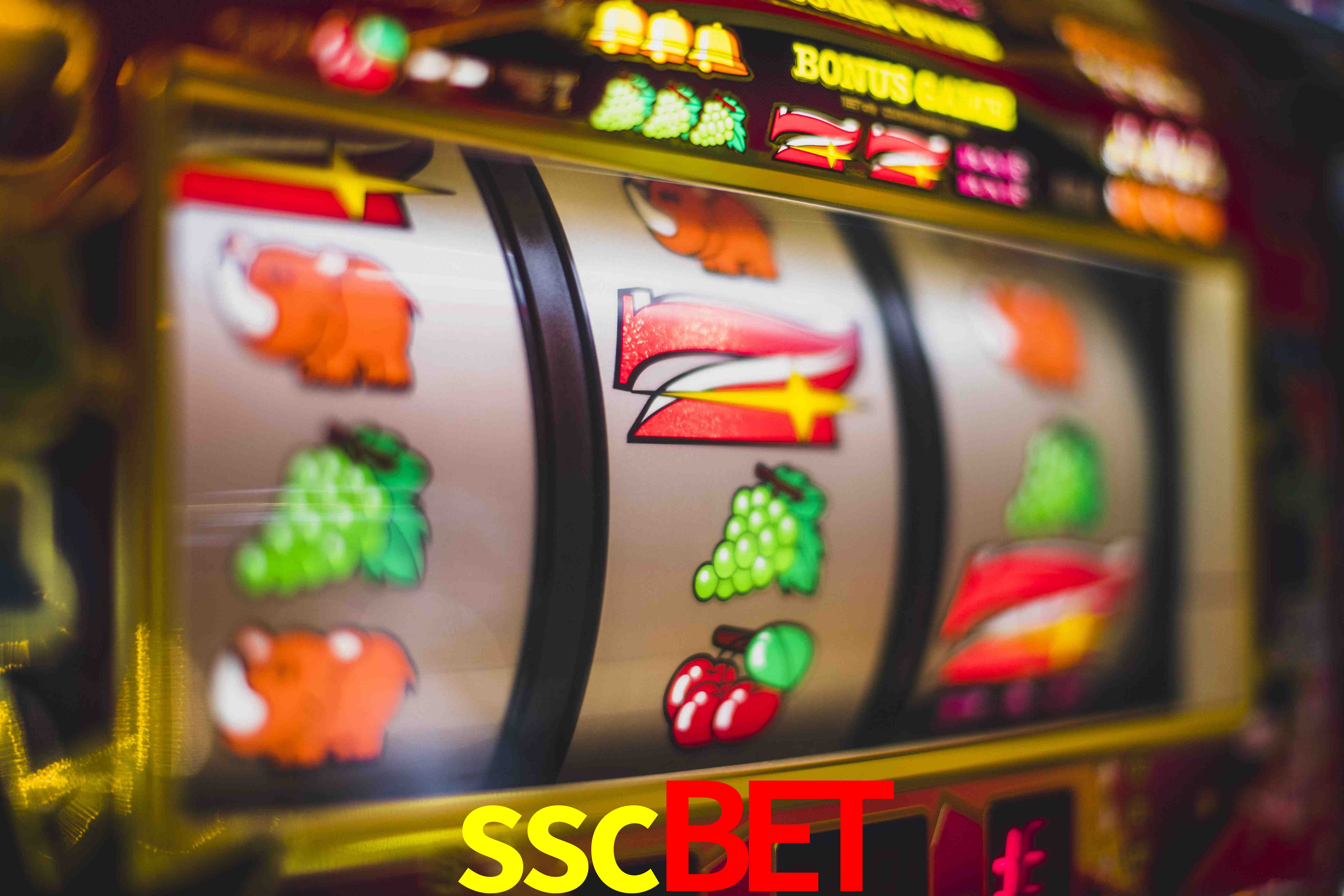 Account Benefits sscbet